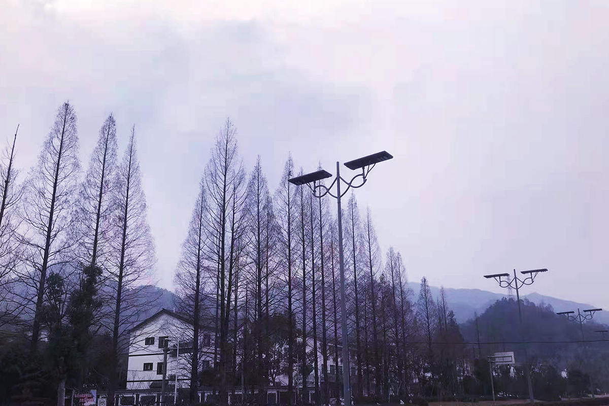 1634021089381395.jpg 18浙江麗3jpg.jpg